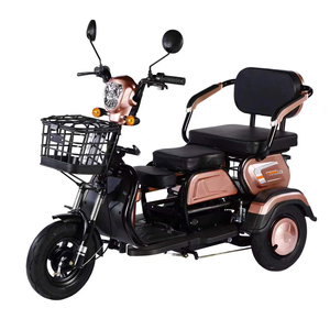 Prezzo economico 600W 48V Ebike 3 ruote triciclo elettrico bici elettrica da carico a lungo raggio con cestino - Product Image 2