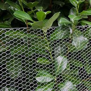 Filet taille maille Coop personnalisé Double hexagone hexagonal fer acier hexagonal poulet treillis métallique - Product Image 5