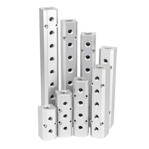 Bloque de Distribución de Aire de Aluminio Zoni de 1 Pulgada con Múltiples Puertos, Accesorios Neumáticos - Product Image 1