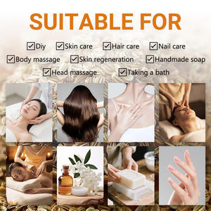 Bitkisel özü ihracatçı <span class=keywords><strong>Fructus</strong></span> <span class=keywords><strong>Cnidii</strong></span> yağ organik doğal taşıyıcı yağ cilt bakımı losyon sabun masaj için fabrika kaynağı - Product Image 3