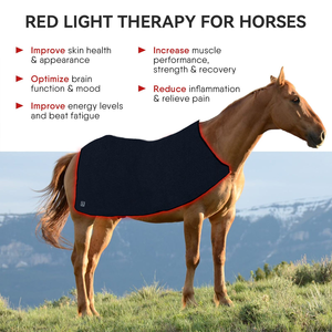 AQSHE Red Light Therapy Equine Horse a infrarossi Cordless Boots a campana con pannello avvolgente per Solarium - Product Image 5