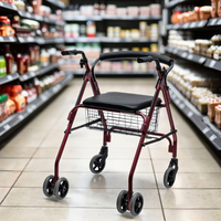 2024 Nouveau Design Rollator léger facile à utiliser marcheur pliable