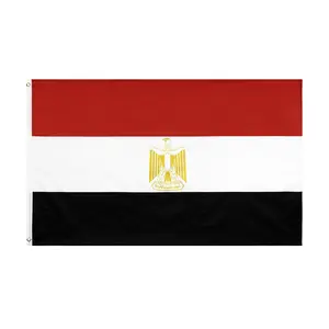 Nx 2024 Venta caliente Banderas nacionales de diferentes países 14*21cm 100% Poliéster Bandera de Egipto