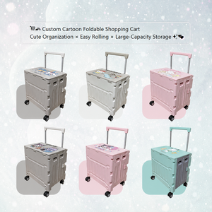 Chariot de courses pliable personnalisé avec dessins animés, roues en PU de 4 pouces, grande caisse de rangement pour enfants de 6 à 12 ans, utilisation intérieure et extérieure - Product Image 3