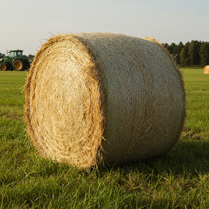<span class=keywords><strong>Filet</strong></span> <span class=keywords><strong>de</strong></span> mise en balles en PEHD pour palettes, pour ensilage <span class=keywords><strong>de</strong></span> foin agricole, balles <span class=keywords><strong>de</strong></span> maïs, balles <span class=keywords><strong>de</strong></span> paille, balles agricoles, avec forte force <span class=keywords><strong>de</strong></span> traction, personnalisable - Product Image 3