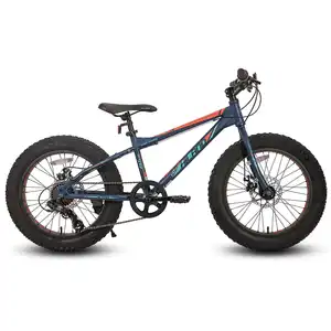 Joykie Hilen 2024 Hoge Kwaliteit Populaire Mountainbike Mountainbike Mountainbikes 24 Fietsen Mtb 20aro Voor Kinderen