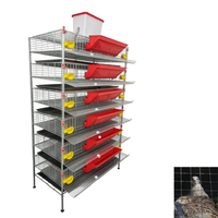 Système de cage à cailles à 6 niveaux en forme de H pour une production d'œufs à haute efficacité, équipement d'élevage avicole