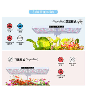 Dễ dàng di chuyển nhà hệ thống thủy canh tự tưới nước microgreens thiết bị nhà bếp tái sử dụng trong nhà <span class=keywords><strong>Hydro</strong></span> microgreen phát triển Kit - Product Image 5