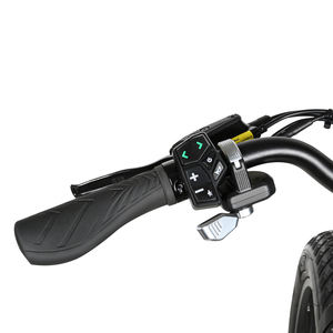 NUEVA Bicicleta de Montaña Eléctrica Híbrida 2026, 48V20A, Motor en la Rueda Trasera, Freno de Disco Hidráulico, 8 Velocidades, Aleación de Aluminio, Motor sin Escobillas - Product Image 2