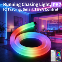 IC Tracing DMX RGBW 360 °   Неоновая трубка с эффектом бегущего огня IP67, управление TUYA/датчиком, 3D-изгиб для архитектурного, барного и сценического освещения