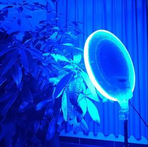 10/13 pouces professionnel rond panneau lumineux LED éclairage de remplissage avec trépied <span class=keywords><strong>Studio</strong></span> Photo pour maquillage en direct caméra vidéo - Product Image 4