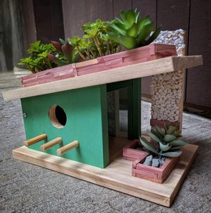 Modern Kuş Evi Ahşap İşleme Kiti Komple Kendin Yap Kuş Evi Yapım Kiti Kendi Kuş Evinizi Yapın Kuşlar için Yaratıcı Ahşap İşleme El Sanatları - Product Image 5