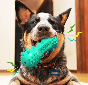 Venta caliente perro dientes limpieza cepillo de dientes masticar juguete mascota perro TPR masticar juguetes activamente masticar cepillo de dientes palo hueso - Product Image 5