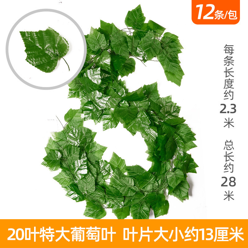 20 feuilles de vigne extra-larges (12 feuilles)