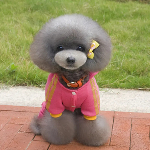 Vêtements personnalisés pour animaux de compagnie : Pulls, sweats à capuche et vêtements pour chiens et chats de petite taille - Product Image 2