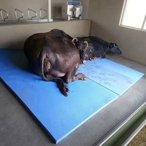 Soft Comfort Rubber <b>Cow</b> Mat Increase Milk Yield Dairy Farm Mattress Anti Slip Waterproof Livestock <b>Bedding</b> Durable Cattle - Product Image 5