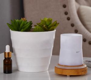 Diffuseur d'huile ultrasonique industriel, humidificateur, pour Design de plantes <span class=keywords><strong>en</strong></span> <span class=keywords><strong>pot</strong></span>, naturelles - Product Image 3