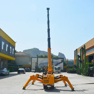 Grúa Araña Pequeña, Grúa Araña Móvil Hidráulica con Orugas y Elevador - Product Image 3