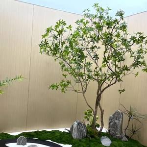 人工馬と木製の木の組み合わせによる屋内外装飾、ディスプレイウィンドウ、エントランス、景観緑化、グリーン植物のレイアウト - Product Image 5