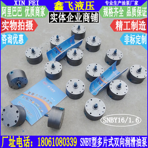 Bomba de Engranajes Cicloides Multidisco Bidireccional SNBY16 1.6 de Hierro Fundido para Lubricación de Reductor de Máquina Herramienta - Product Image 3