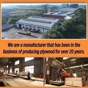 9mm 12mm 15mm 18mm kayu lapis kualitas baik untuk furnitur atau konstruksi kayu lapis inti kayu putih - Product Image 5