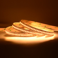 Bande LED CCT à haute densité avec garantie de 6 ans, SMD2216, blanc réglable, 24V, CRI élevé Ra95, spectre complet, bande LED CCT 2216