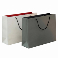Sac en papier de luxe avec logo personnalisé, imprimé en couleur, sac de shopping, sac cadeau épaissi