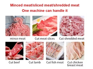 Affettatrice Professionale per Carne da Ristorante, Macchina per Tagliare, Tritare e Macinare Carne 120-450kg/h 220V - Product Image 2