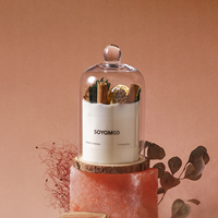 Coffret Cadeau de Bougies Parfumées de Luxe avec Plantes Stabilisées, Roses Séchées Inaltérables, Ensemble de Bougies Parfumées à Froid sous Cloche en Verre