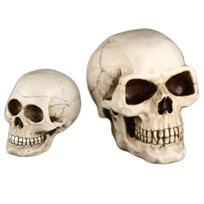wholesales crazy skull resin money box for birthday gift