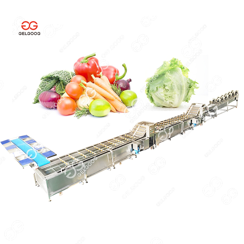 Gelgoog Complete Leafy Vegetable Washing Production