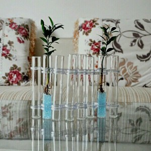 Glass Test Tubes 25ml For Flower Arrangement Decoration Hydroponic Plant Display - Product Image 1