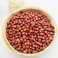 Grosir Tiongkok Kacang Adzuki Kacang Bambu Kelas Ekspor Kacang Tunggak Kecil Kacang Adzuki Merah untuk Dijual