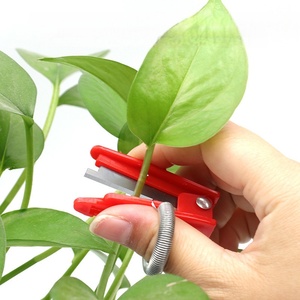 Couteau manuel pour la cueillette des fruits et légumes, <span class=keywords><strong>trancheuse</strong></span> portative en acier à haute teneur en carbone pour couper les raisins, les haricots et les concombres - Product Image 2