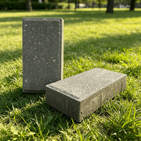 Meilleure Vente YW-PLZ-09 Briques de Pavage en Béton Permeables Personnalisables de Couleur Beijing Écologiques Épaisseur 5 cm pour Usage Extérieur