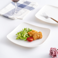 Assiettes en mélamine blanches pour restaurant, réutilisables, certifiées sans danger pour les aliments, ensembles de vaisselle