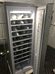 24v 198l 11/7 Layers Solar System <b>Ice</b> Cube Upright Freezer Per Day 70kg <b>Maker</b> Bd-198-11-h Dc Chest Freezer 220v Skd Ckd - Product Image 4