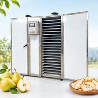 Industriële peerdroogmachine warmtepomp fruitdroger commerciële voedseldroger heteluchtcirculatie droogoven