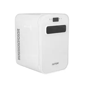 22L Mini frigo portatile freddo e caldo scatola di raffreddamento elettrico 12V 24V DC frigorifero