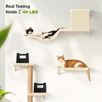 Ensemble de meubles muraux modernes 4 en 1 pour grands chats Mur d'escalade en bois avec griffoir en sisal et étagères murales en peluche