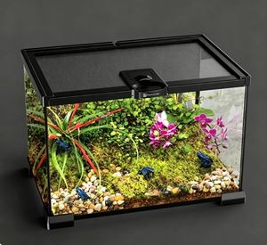 Boîte d'alimentation antidérapante en verre pour terrarium/vivarium pour reptiles, amphibiens et plus - Conteneur d'habitat biologique - Product Image 2