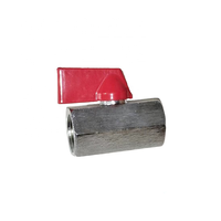 Vanne à boisseau sphérique miniature en laiton poli à double filetage femelle 1/8" 1/4" 3/8" 1/2" – Accessoires de raccordement pour quincaillerie – Vente chaude
