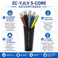 Câble d'alimentation ZC-YJLV 5 conducteurs 0,6/1 kV classe C ignifuge Al/XLPE/PVC, câble de câblage triphasé terre neutre TN S IEC 60502