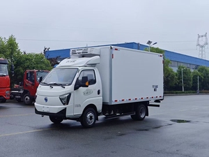Camionnette frigorifique électrique pure <span class=keywords><strong>de</strong></span> 10 m³ très économique pour le transport <span class=keywords><strong>de</strong></span> <span class=keywords><strong>viande</strong></span> et <span class=keywords><strong>de</strong></span> poisson dans l'agriculture et l'industrie laitière - Product Image 5