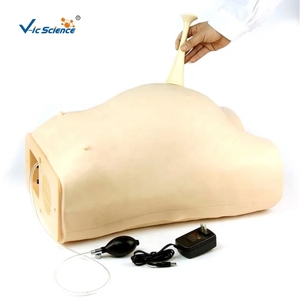 Modelo de PVC Computarizado Avanzado para Entrenamiento en Control de Maternidad/Natalidad, Obstetricia, Ginecología, Escuela de Ciencias Médicas - Product Image 1