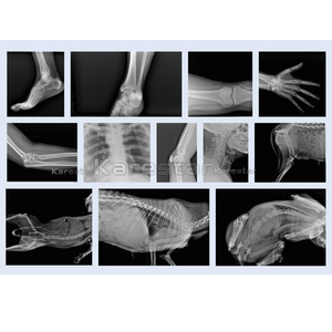جهاز أشعة سينية محمول K-DX70 للطب البيطري، معدات أشعة سينية رقمية بسعر تنافسي للمستشفيات - Product Image 6