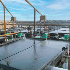 Nhà phân phối của Lắc bảng và xoắn ốc CHUTE separator cho khai thác mỏ tập trung - Product Image 2