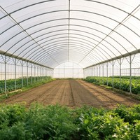 Grand kit de serre tunnel monocouche en PE avec système de culture intégré pour laitues et légumes