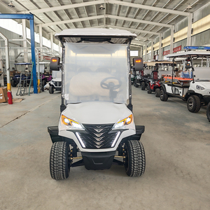 Premium 2026 Electric 48V 6+2 8-Seater Golf Cart - Product Image 3