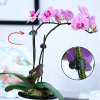 Tuteurs pliables de 16 pouces pour orchidées, supports de tiges simples pour fleurs de jardin vertes avec pinces et attaches, façonneurs de plantes grimpantes en pot